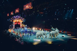 Malaysia's Most Thrilling Circus Acts